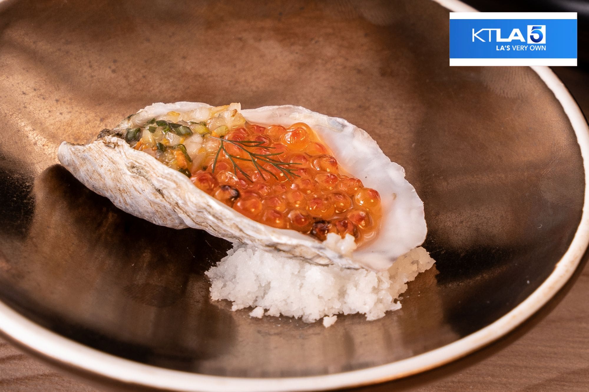 Chubby Curry | Watch the Niku X dining experience